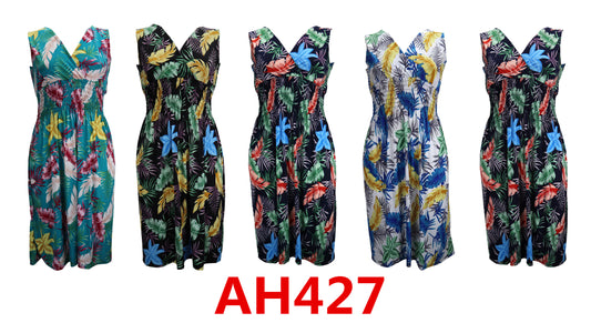 Women Dress AH427